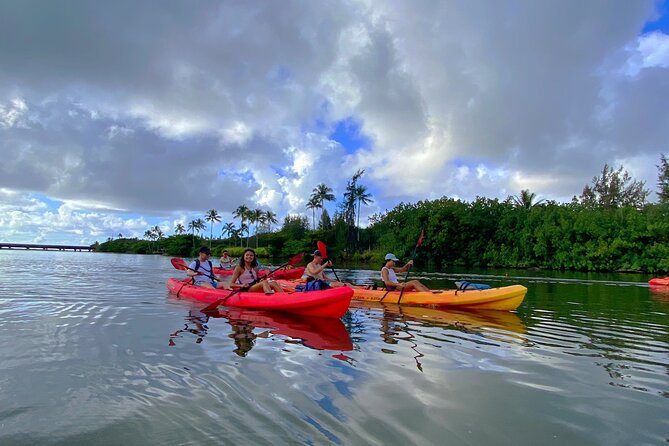 Wailua River and Secret Falls Kayak and Hiking Tour on Kauai - Positive Experiences