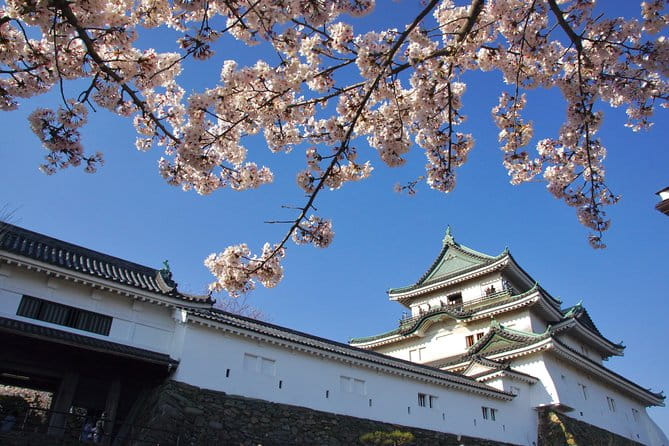 Wakayama Castle Town Walking Tour - Meeting and Pickup Details