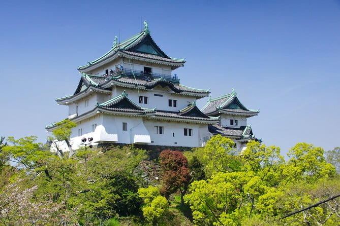 Wakayama Castle Town Walking Tour - Accessibility and Participation Guidelines