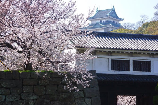 Wakayama Castle Town Walking Tour - Pricing and Booking Information
