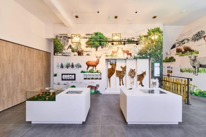 Waksmund: Admission ticket to Brama w Gorce - Fun for the little ones