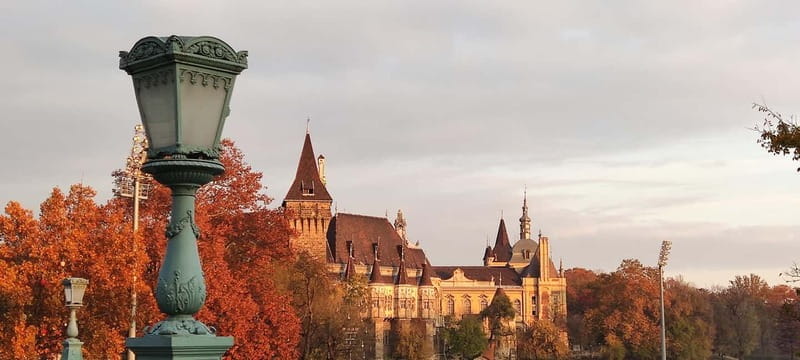 Walk along the Champs-Élysées in Budapest - Exploring Budapest’s Elegant Avenue: What the Tour Offers