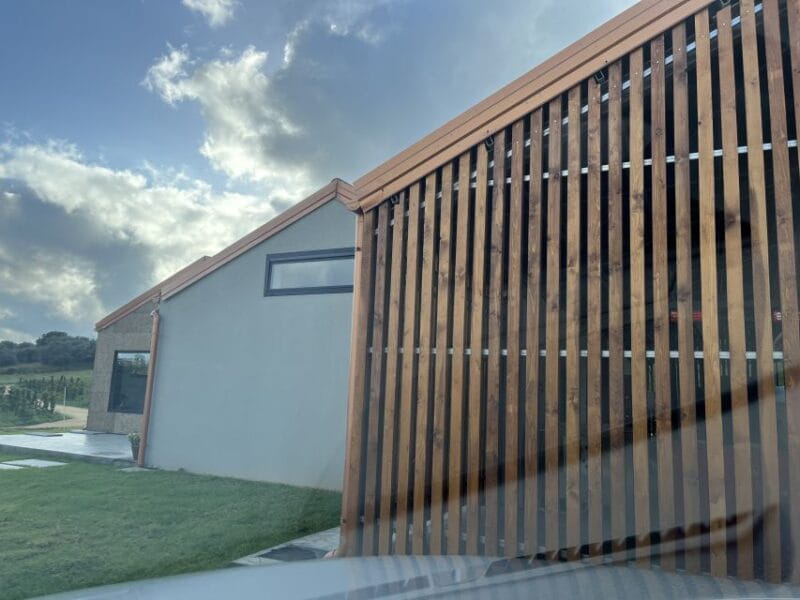 Walk among the rows of vineyards and wine tasting - Walk among the rows of vineyards and wine tasting: A genuine Sicilian experience