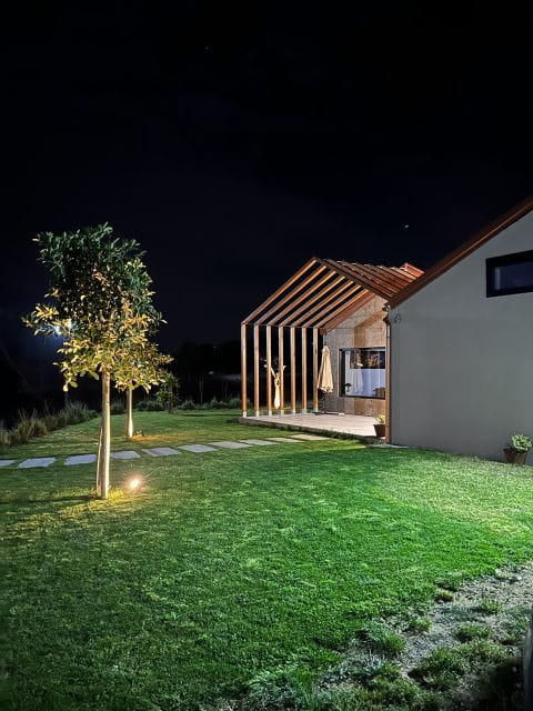 Walk among the rows of vineyards and wine tasting - Key points / Takeaways