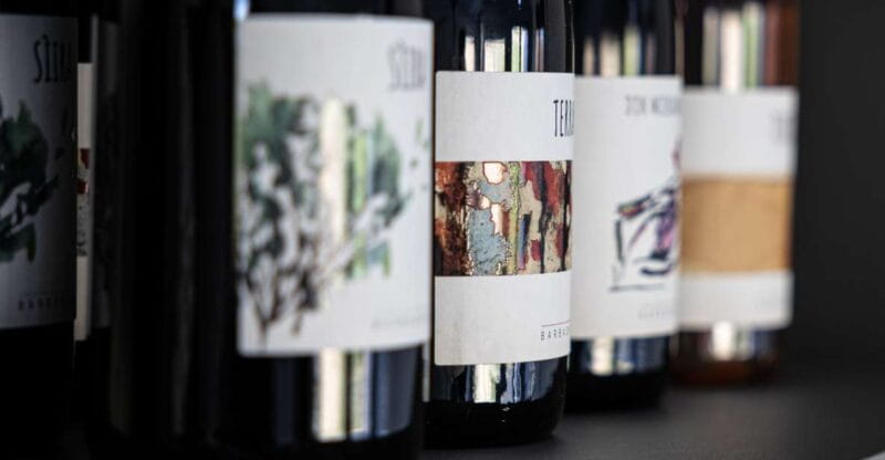 Walk among the rows of vineyards and wine tasting - The itinerary and what to expect at each stage