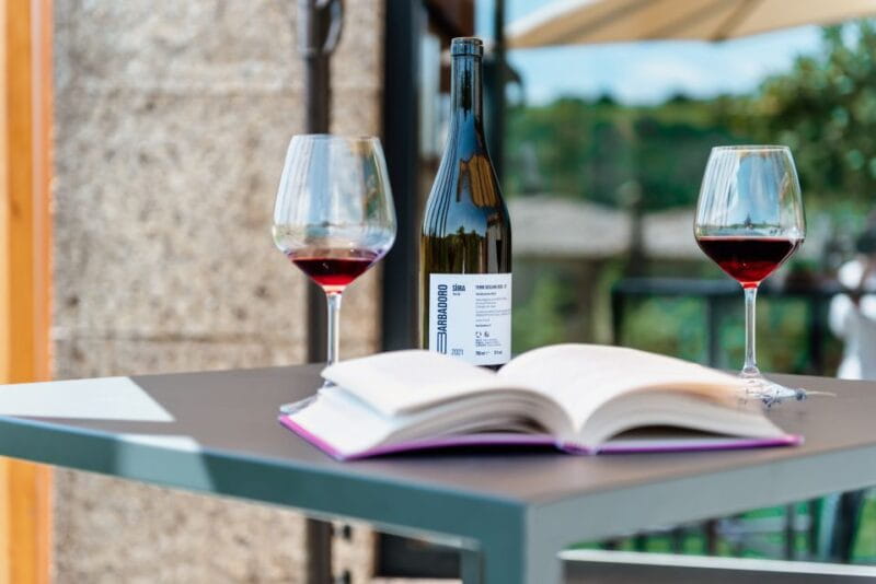 Walk among the rows of vineyards and wine tasting - Who will love this experience?