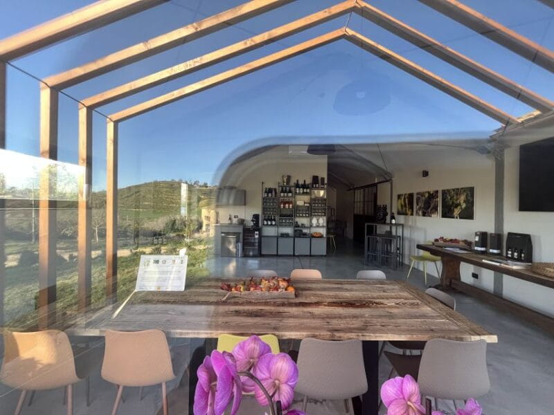 Walk among the rows of vineyards and wine tasting - The Sum Up