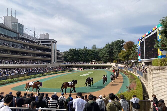Walk Around Okunitama Shrine Private Tour in Tokyo - Inclusions and Amenities