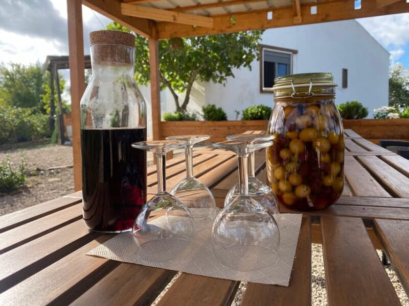 Walk through Hills With a Local Goat Herder and Their Goats - Walking in the Mountains: What to Expect