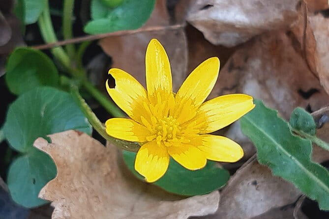 Walk to recent and aged spiritual sanctuaries near Budapest - Key points / Takeaways