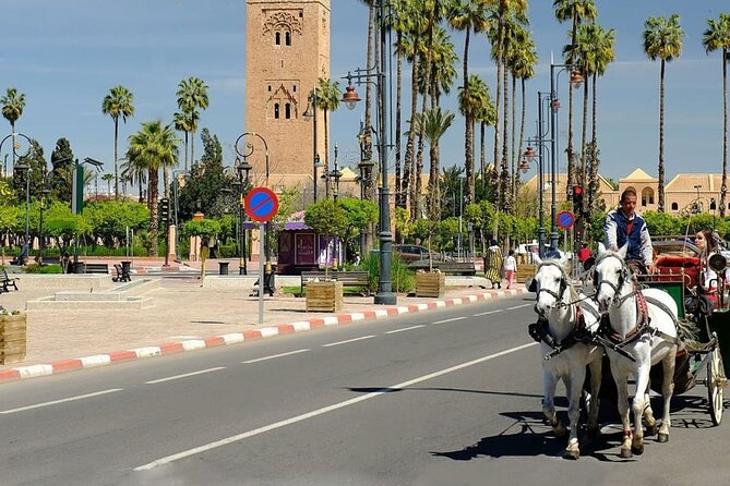 Walking City Tour of Marrakech-Medina, Souks, Sights and Stories - Guide Expertise