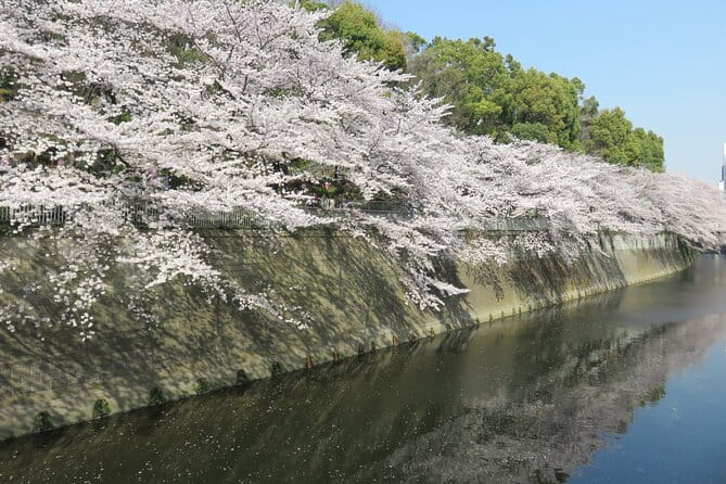 Walking Discovery Tour of Hidden Neighborhoods of Tokyo - Meeting and Pickup
