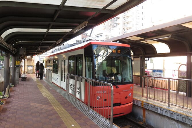 Walking Discovery Tour of Hidden Neighborhoods of Tokyo - Health and Safety Requirements