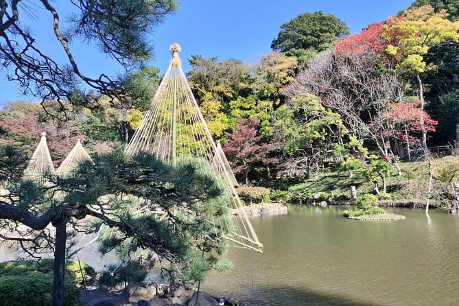 Walking Discovery Tour of Hidden Neighborhoods of Tokyo - Booking and Logistics