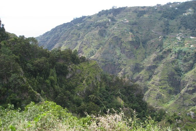 Walking Experience in the Serra D'Água Valley - Entering the Valley: What the Experience Looks Like