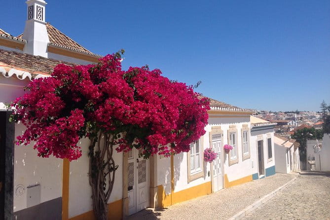 Walking in Tavira: The Venice Of Algarve - The Itinerary in Depth: What to Expect Each Day