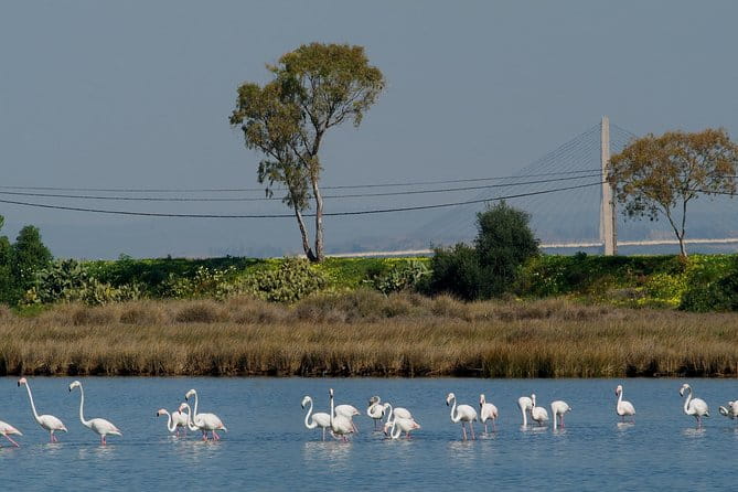 Walking in Tavira: The Venice Of Algarve - FAQ
