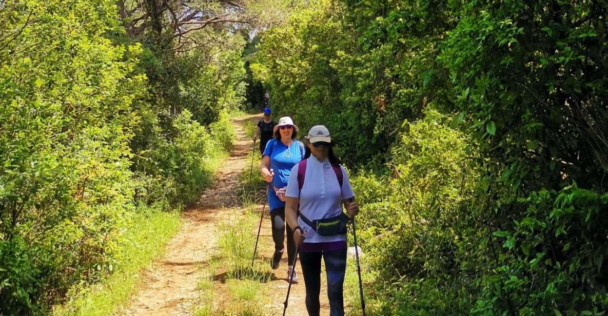 Walking Through Ancient Konavle Villages With a Tasty Finish - Key Points