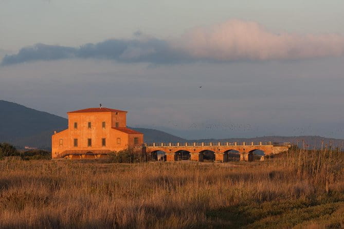 Walking tour in Diaccia Botrona - Key points / Takeaways