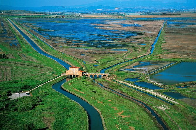 Walking tour in Diaccia Botrona - Discovering the Wild Side of Tuscany
