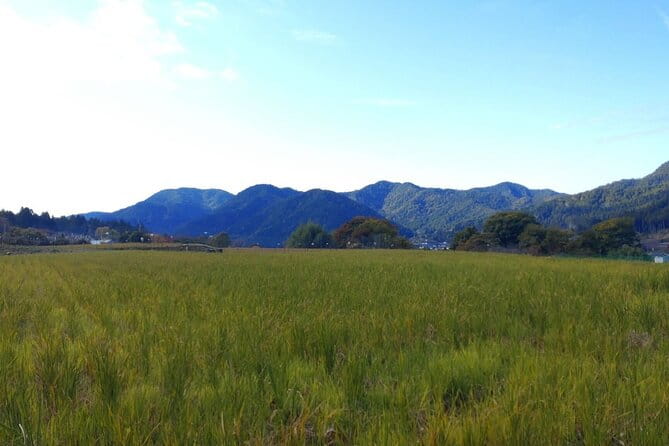 Walking Tour in Ohara Discover the Tranquil Beauty of Kyoto - Key Points