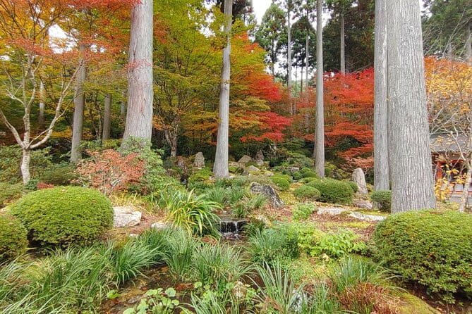 Walking Tour in Ohara Discover the Tranquil Beauty of Kyoto - Experiencing the Rich Cultural Heritage