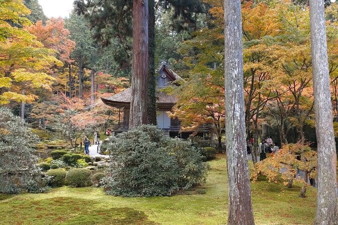 Walking Tour in Ohara Discover the Tranquil Beauty of Kyoto - Customizing the Experience to Your Preferences