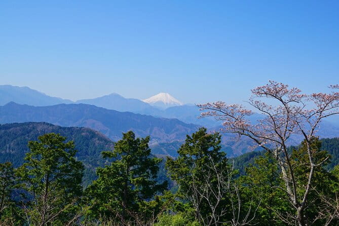 Walking Tour Mount Takao : Nature and Tradition in Tokyo - Meeting and End Points
