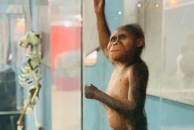 Walking Tour of Addis Abeba - Discover Addis the Authentic Way - Cancellation Policy and Reviews