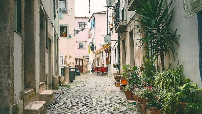 Walking tour of Lisbon: Journey through Portuguese heritage - Who Will Get the Most Out of This Experience