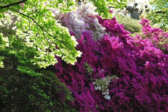 Walking tour with a private tour guide in the botanical gardens of Villa Taranto - In Summary