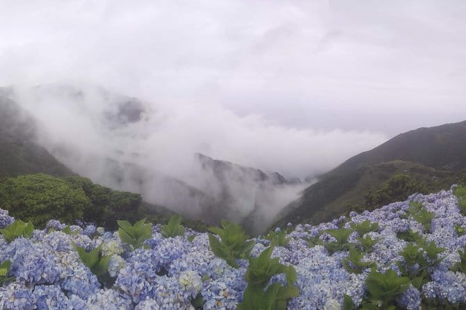Walking Trail / Tour - Fajã Caldeira Santo Cristo - Exploring the Fajã Caldeira Santo Cristo: A Full-Day Guide to One of São Jorge’s Natural Gems