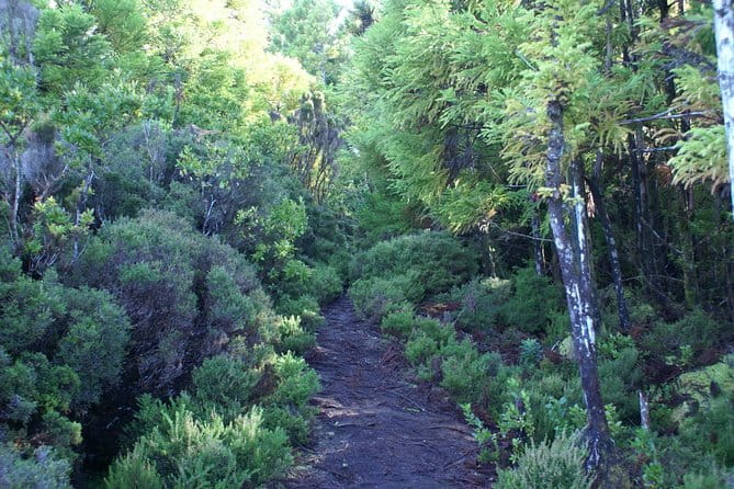 Walking Trails of Terceira - FAQ