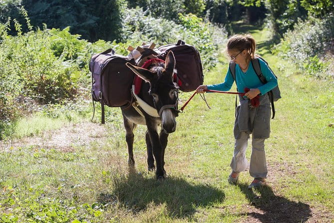 Walks and hikes with donkeys - Price and Logistics: Does It Offer Good Value?