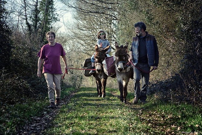 Walks and hikes with donkeys - Final Thoughts: Is This Experience Right for You?