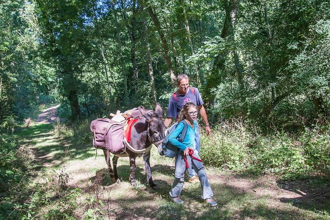 Walks and hikes with donkeys - Frequently Asked Questions