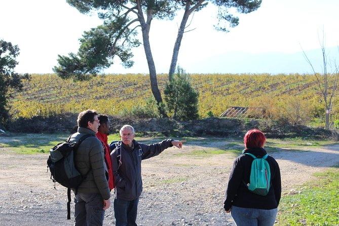 Walks in the Heart of the Secret Vineyards Around Collioure, Tastings - Accessibility and Requirements