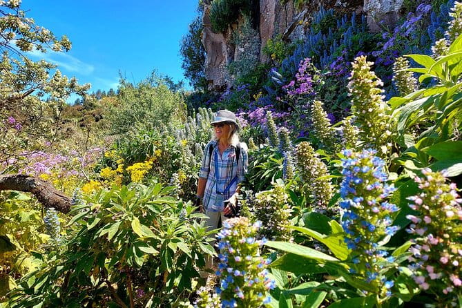 Wanderungen im grünen Gran Canaria - Breaking Down the Day: What You Can Expect