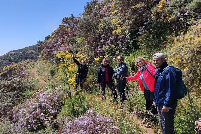 Wanderungen im grünen Gran Canaria - Frequently Asked Questions