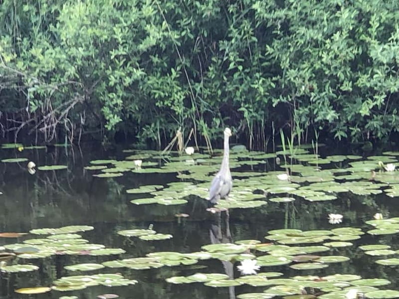 Waren (Müritz): Fun Cruise motor yacht with skipper - 4 hours - Key Points / Takeaways