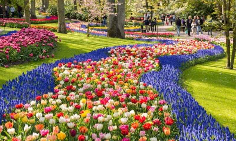 Warmond: Windmill Cruise and Keukenhof Entry Ticket - Key points / Takeaways