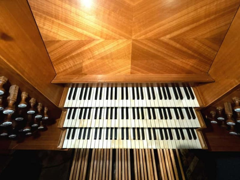 Warsaw: Cathedral Organ Concerts and tour of the crypts - Who Will Love This Experience?