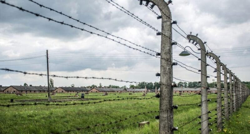 Warsaw: Tour to Auschwitz-Birkenau & Krakow starting 6:30 am - The Practical Details: What You Need to Know