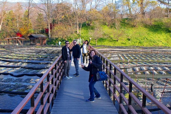 Wasabi Farm Walking Tour & Lunch - Japanese Lunch With Wasabi