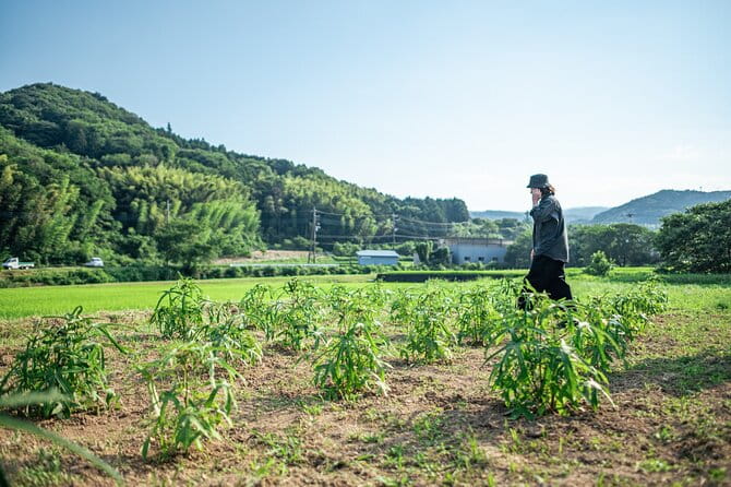 Washi Workshop in Shizenji - Workshop Inclusions