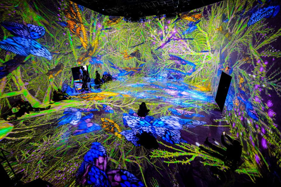 Washington, DC: ARTECHOUSE Immersive Art Experience Ticket - Customer Reviews and Ratings