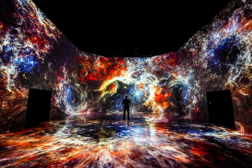 Washington, DC: ARTECHOUSE Immersive Art Experience Ticket - Accessibility and Accommodations