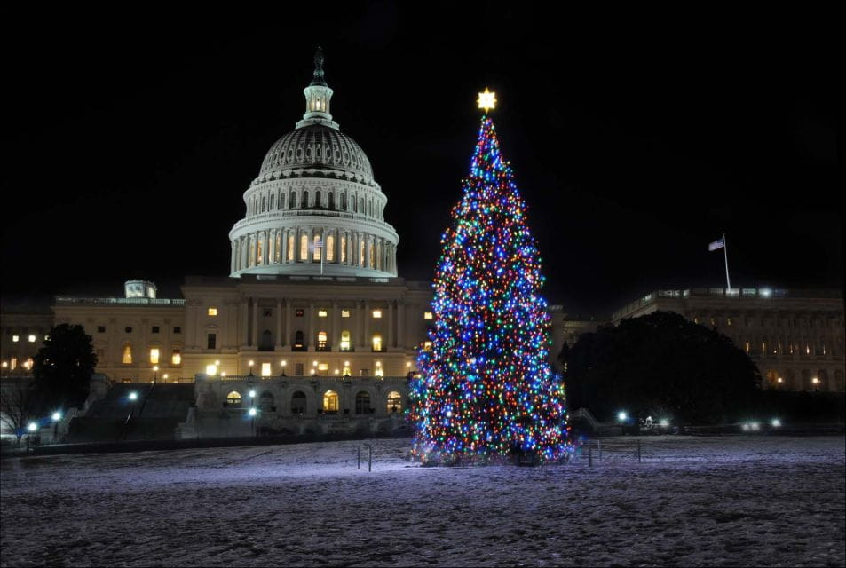 Washington, DC: Holiday Lights Nighttime Bus Tour - Key Points