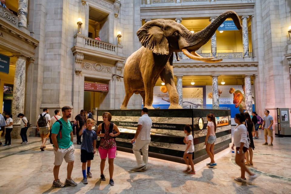 Washington DC: Museum of Natural History Private Guided Tour - Customizable Experiences