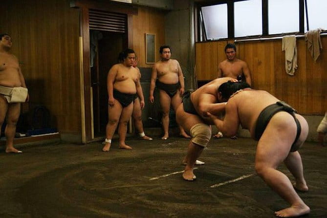 Watch Sumo Morning Practice at Stable in Tokyo - Sumo Practice Sessions: Schedules and Timings